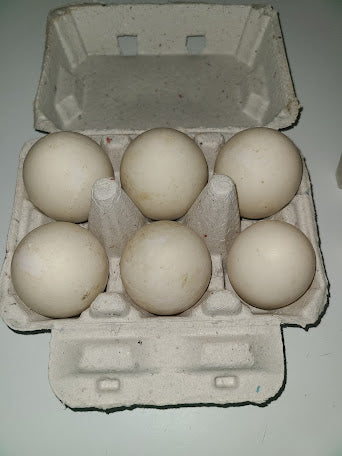 Duck Eggs - half dozen