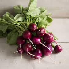 Salad Radish