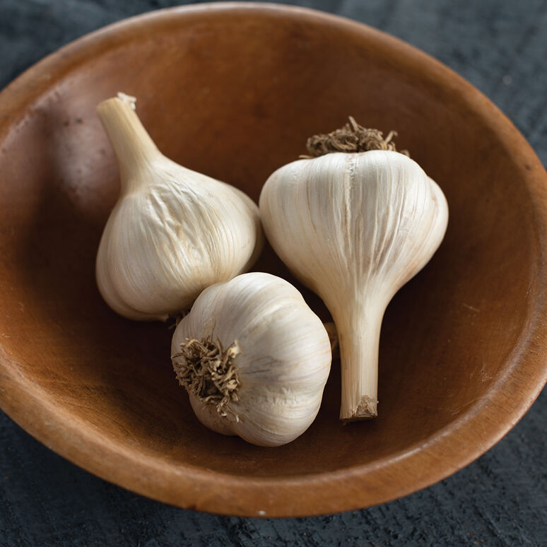Garlic (medium size)